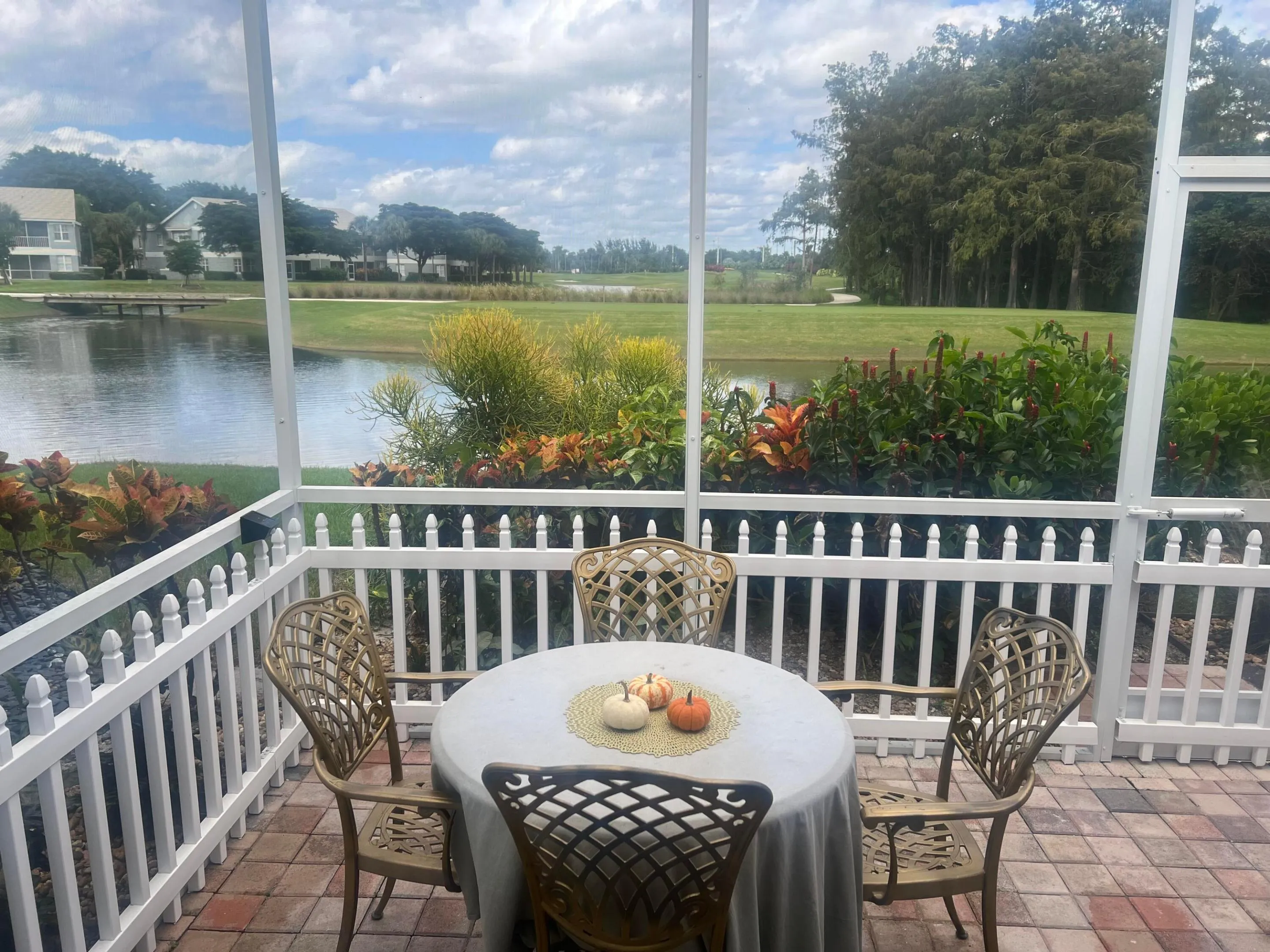 Back Patio
