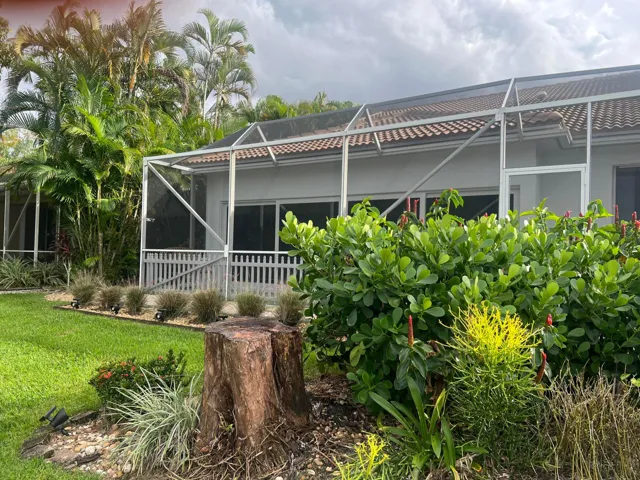 Back Yard