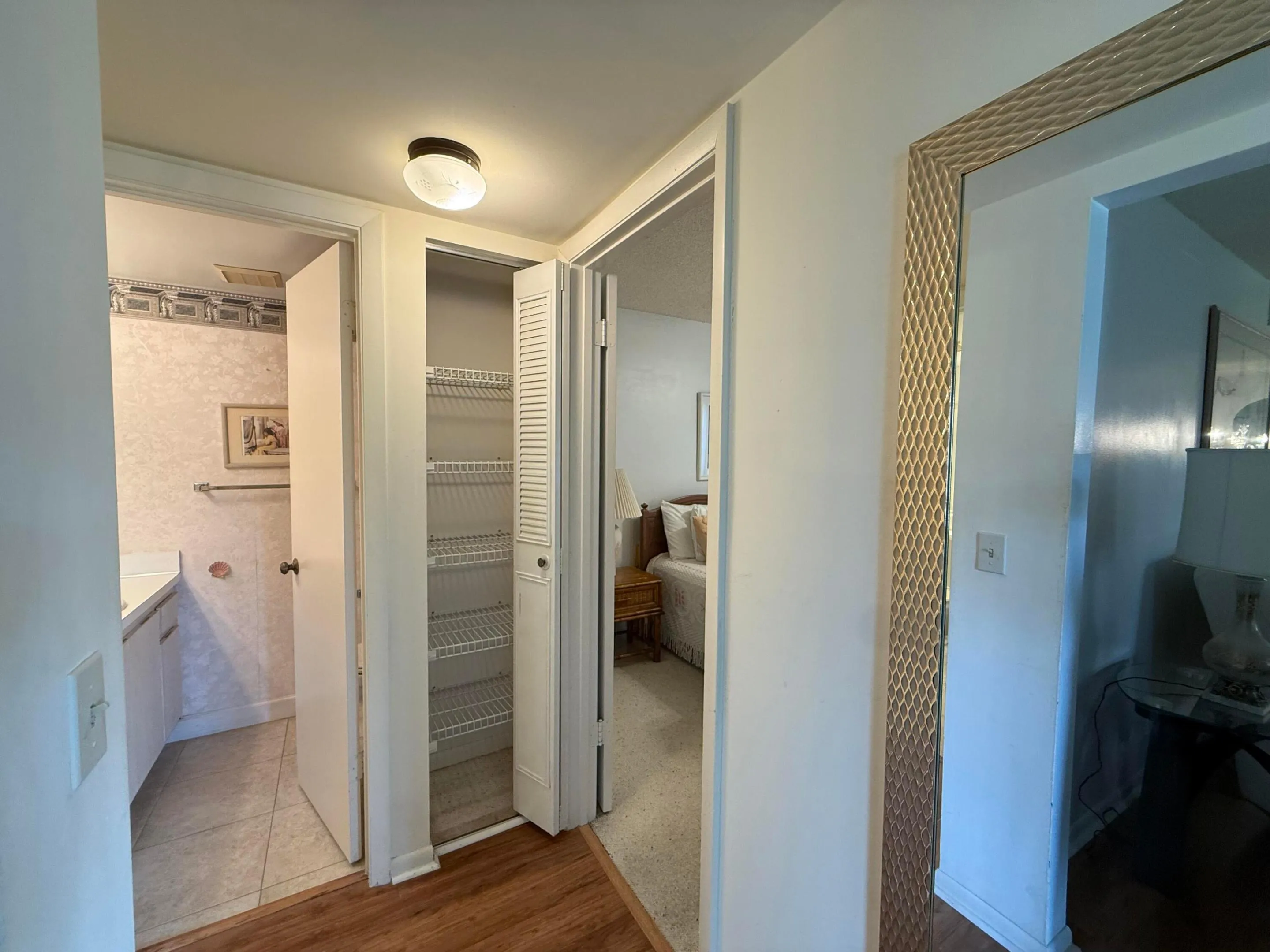 Hallway/Closet Storage