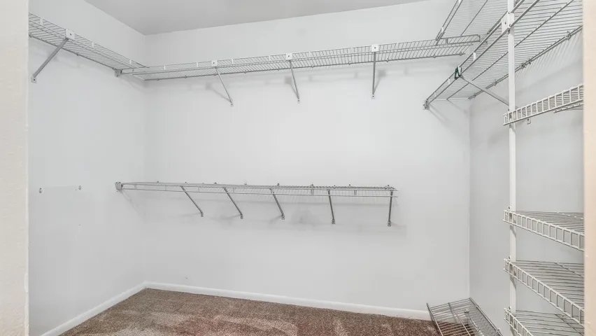 Primary Closet #1