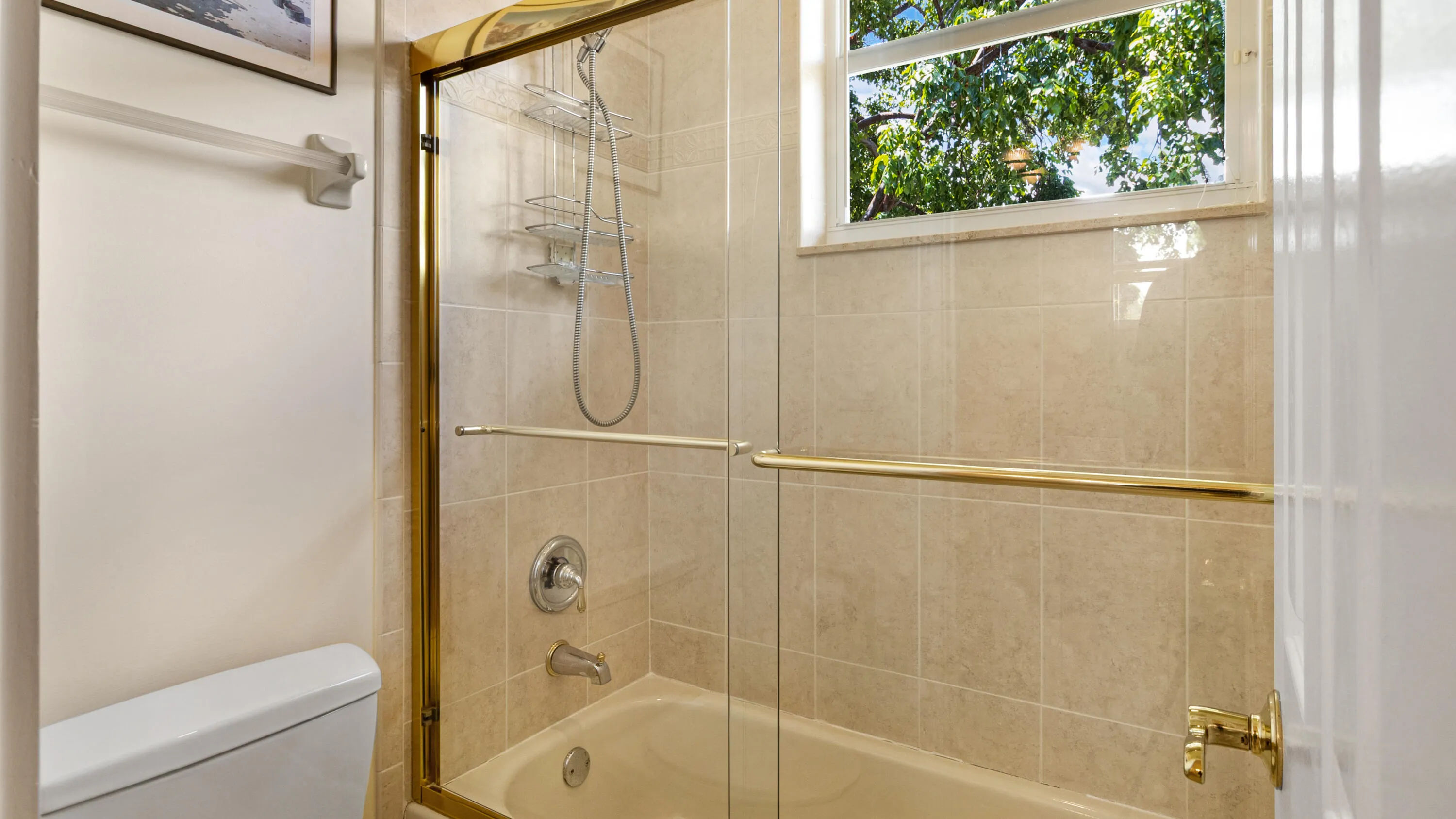 Jack and Jill bathroom