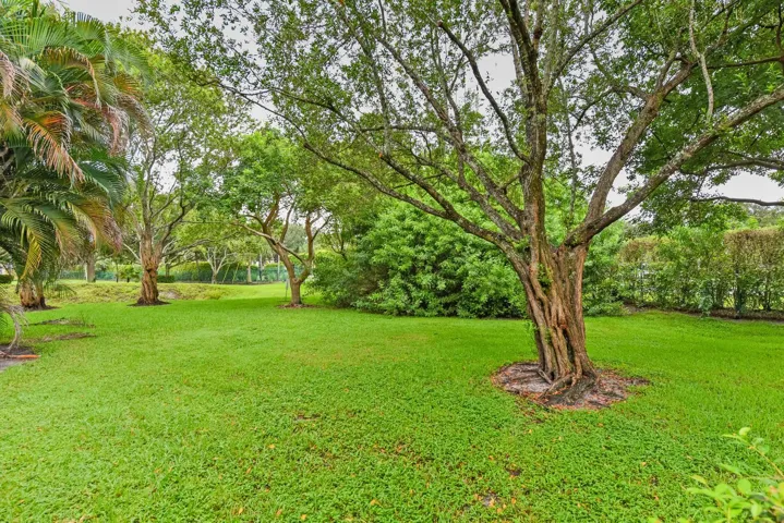 023-007-4864 Pinemore Ln-1498x1000