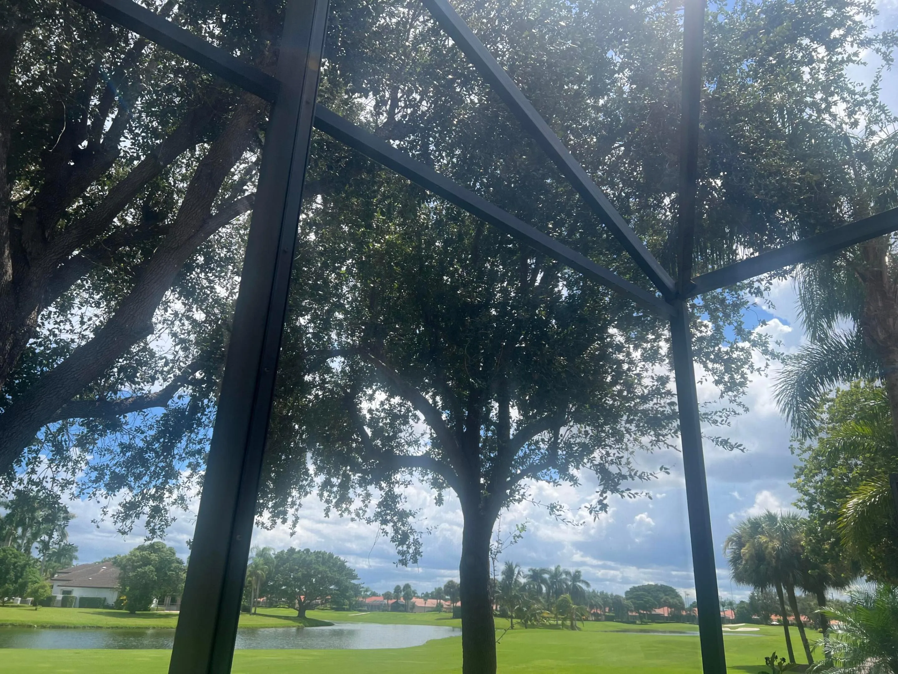Back Yard View