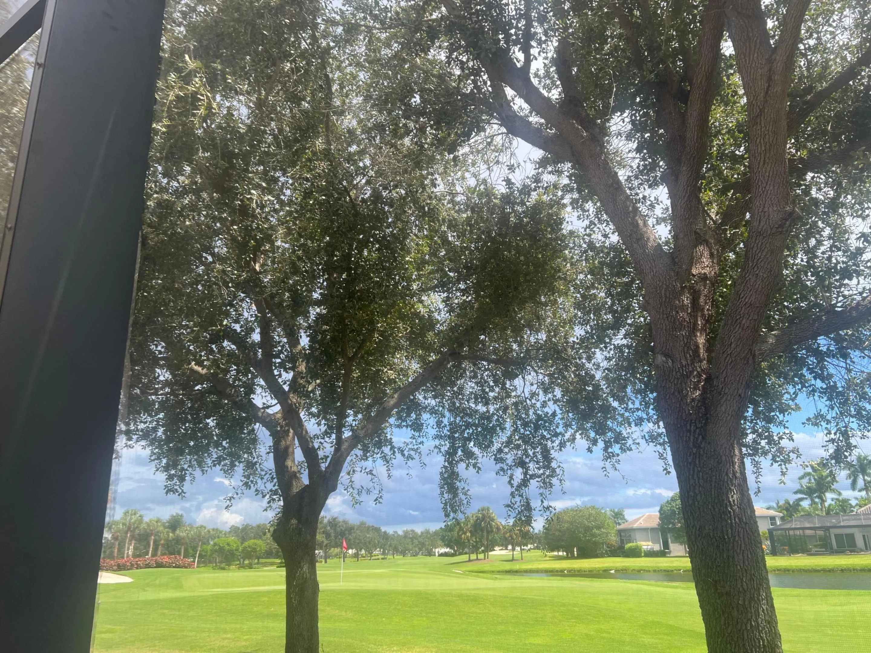 Back Yard View