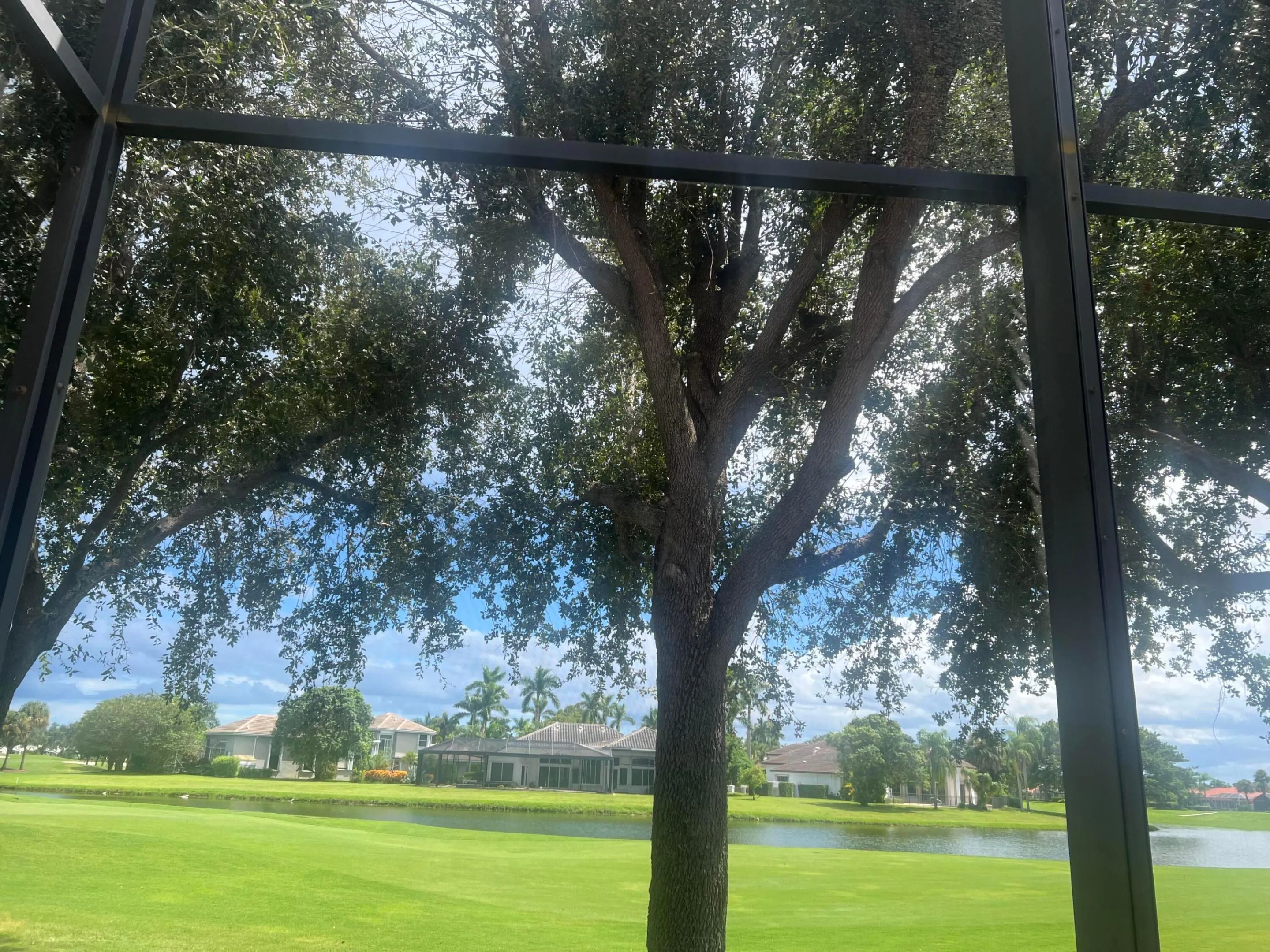 Back Yard View