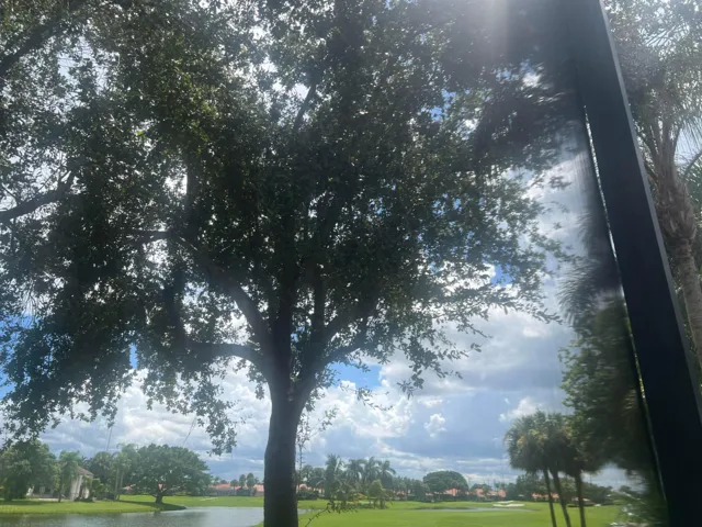 Back Yard View