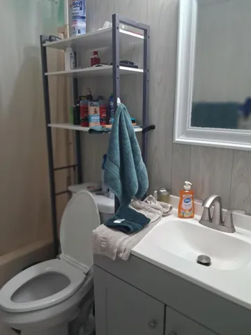 New vanity & tolite