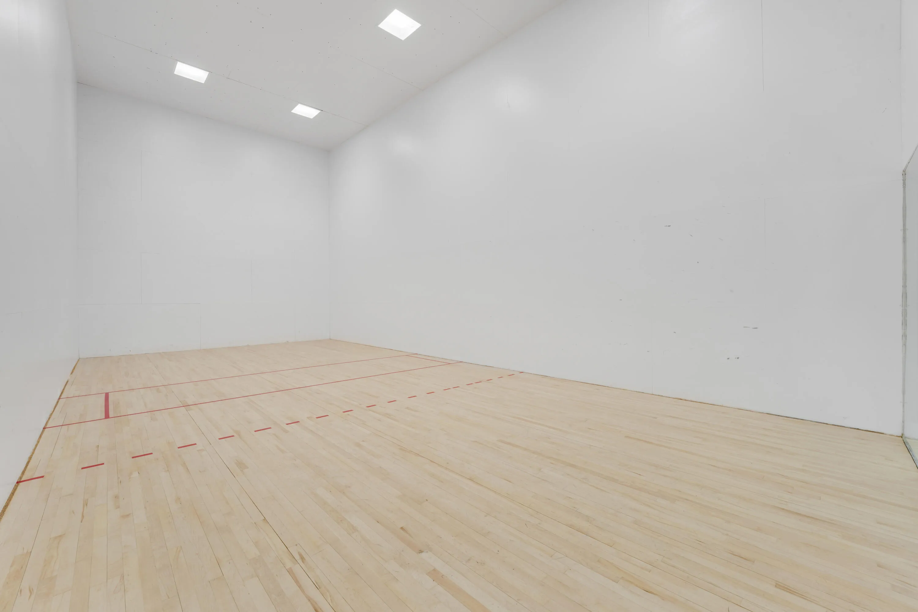 Pickleball Court