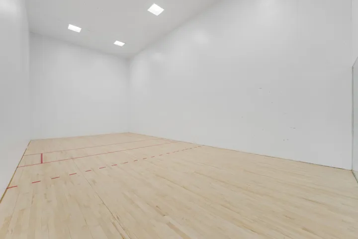 Pickleball Court