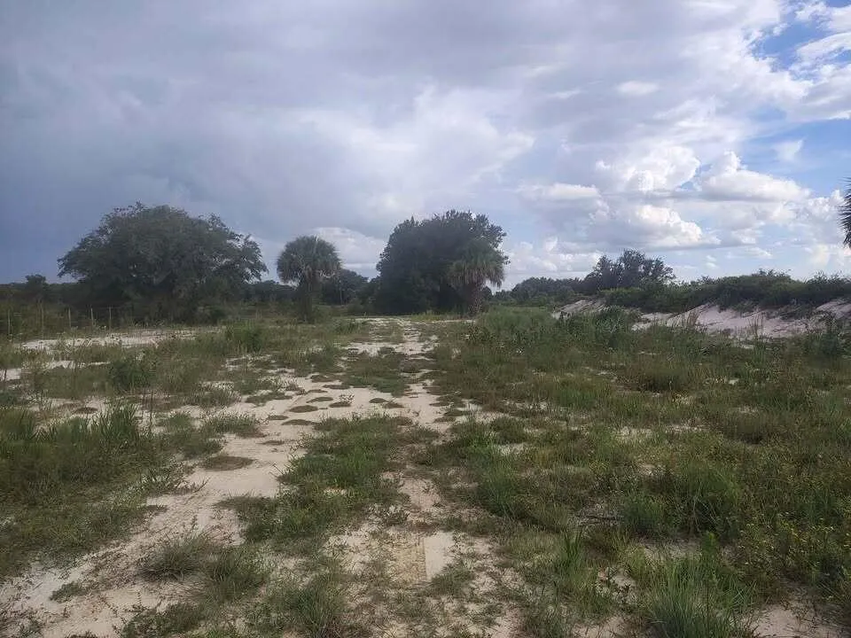 Property photo 19