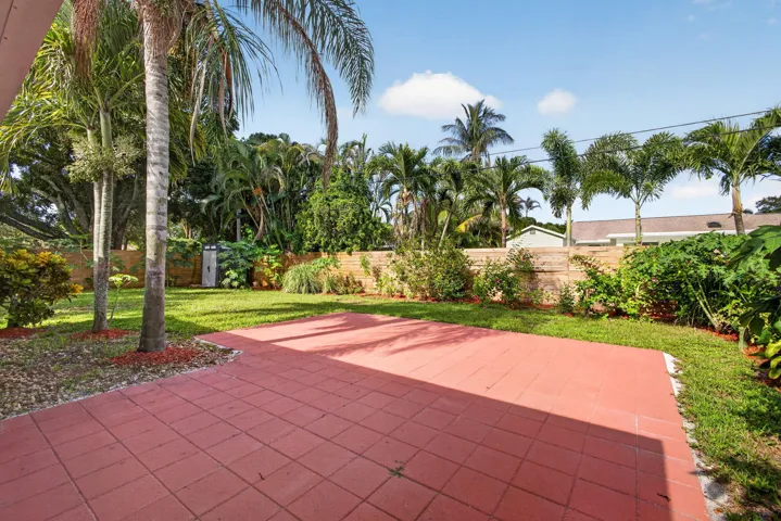 Backyard 1