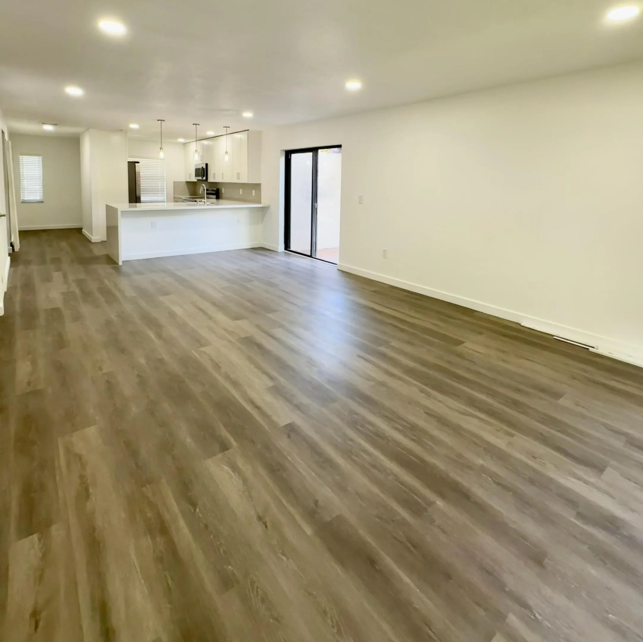 Dining and Living area