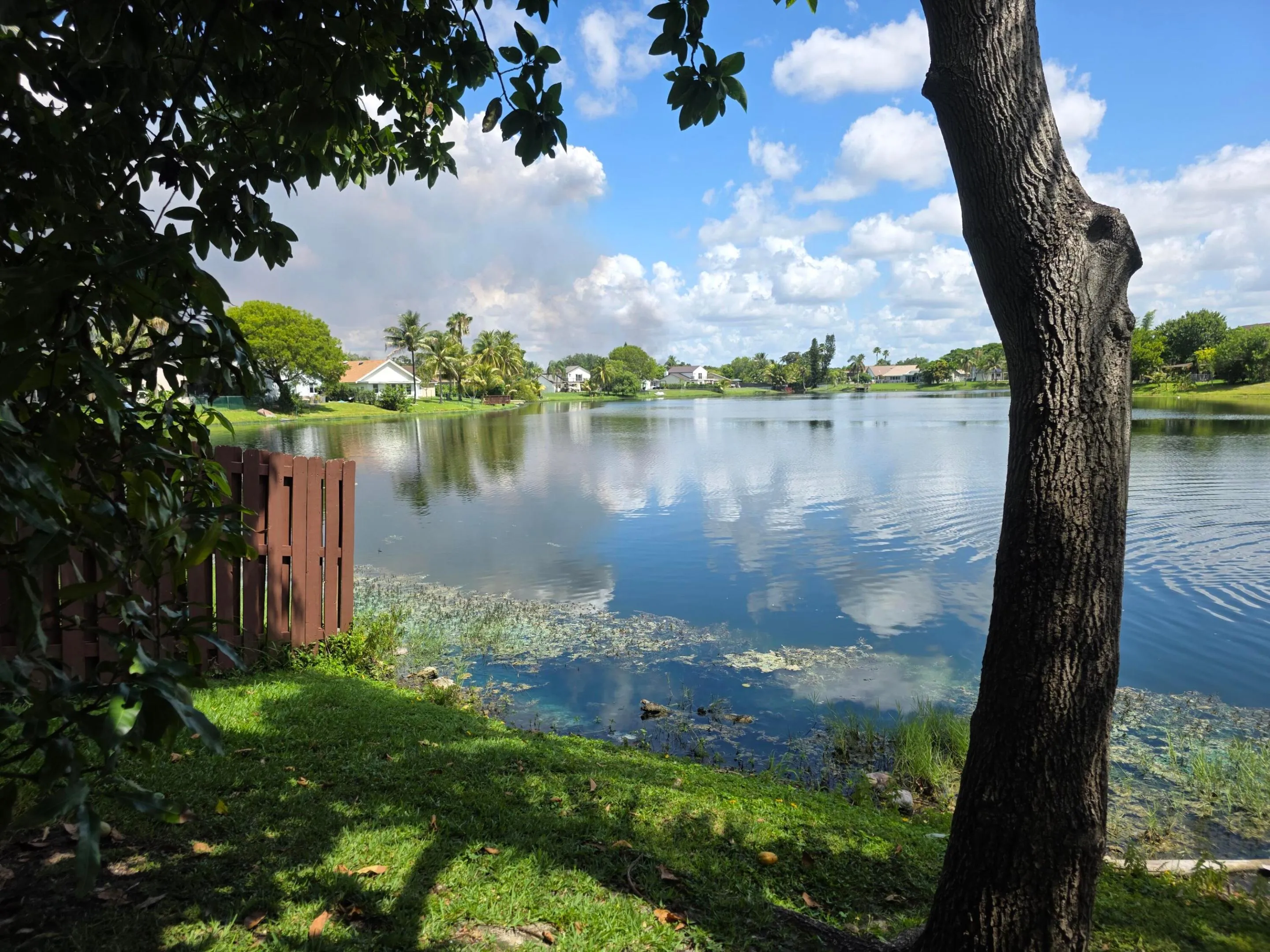 Lakeside property featuring a brown privacy fence, mature trees, and a grassy shoreline