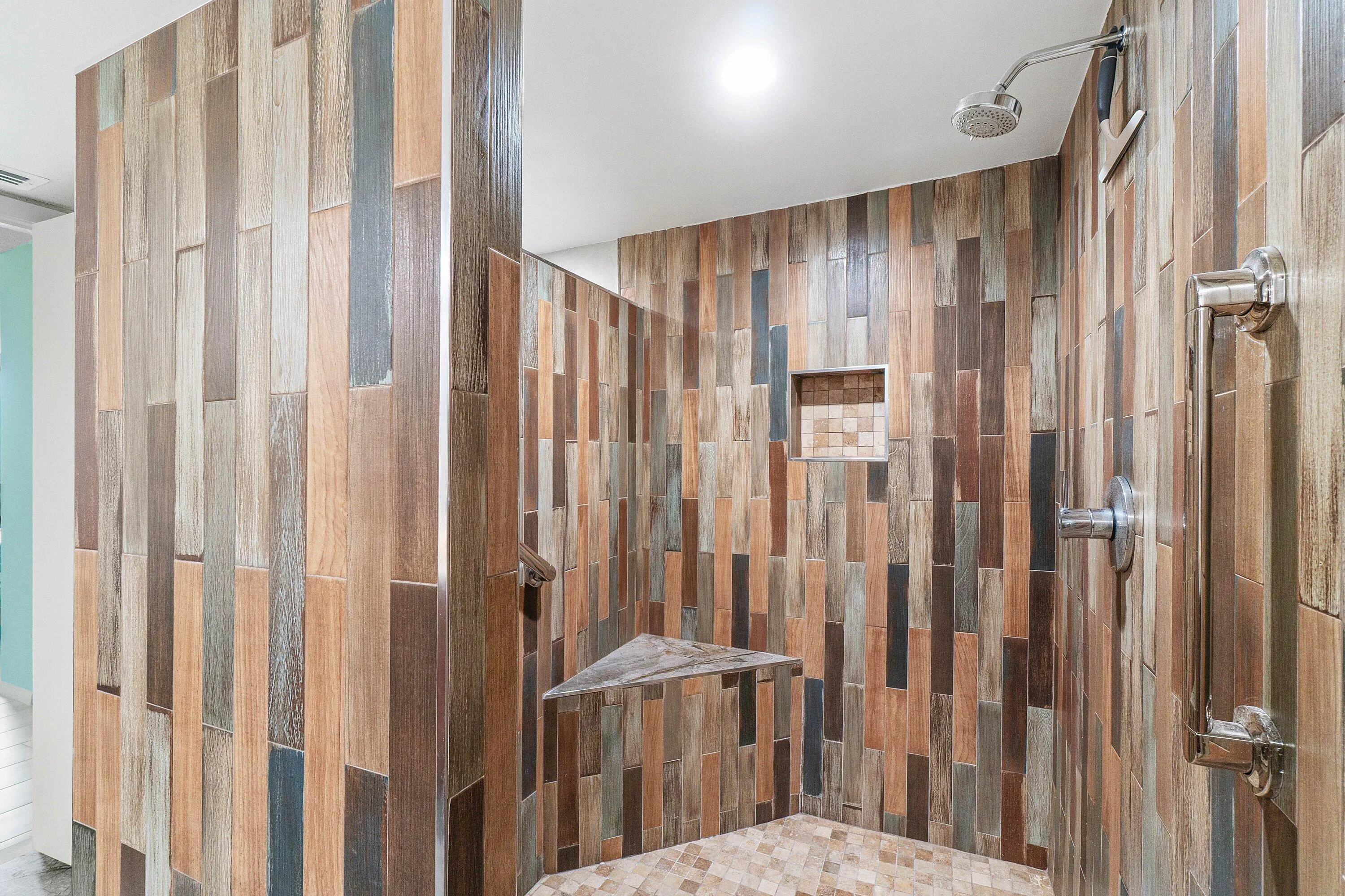 Primary Shower