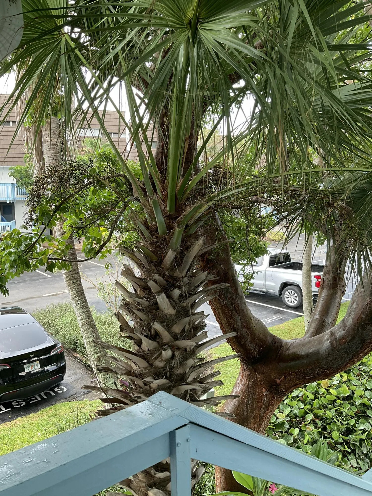 Property photo 38