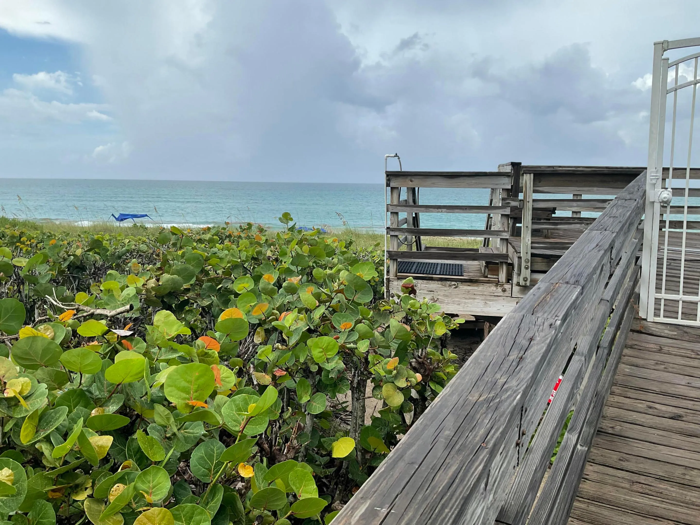 Property photo 45