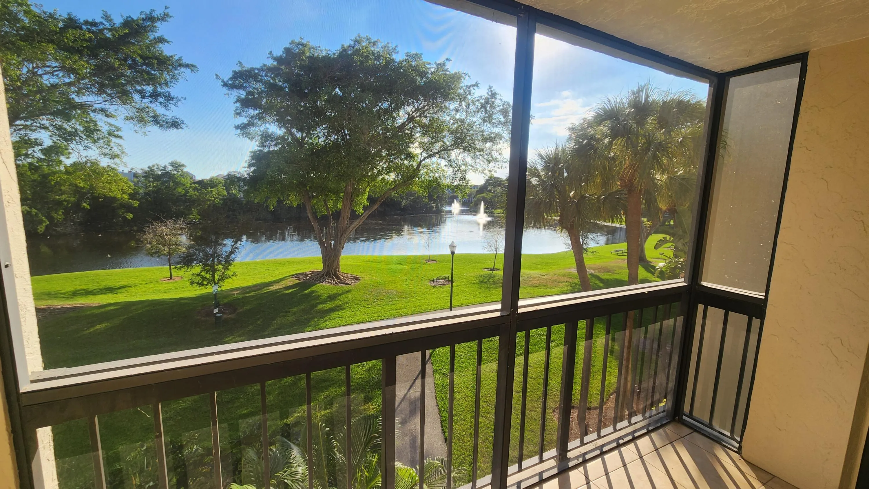 views