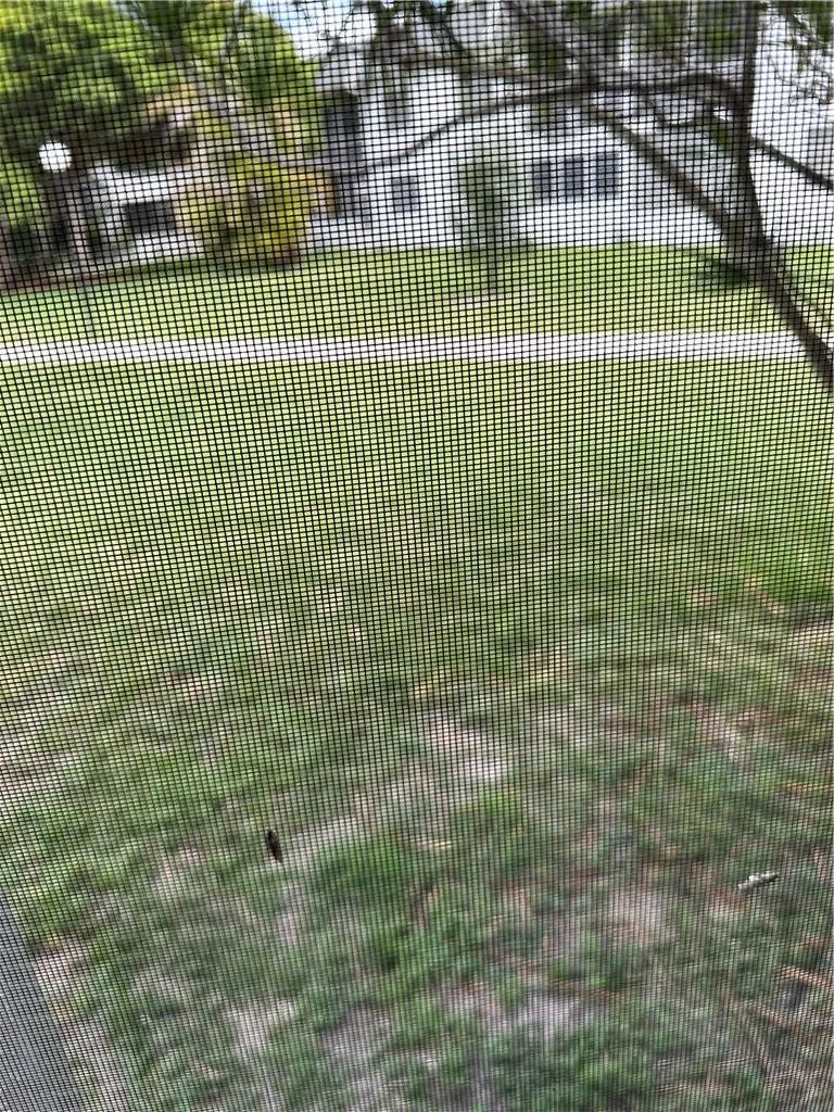 Quiet garden view out back