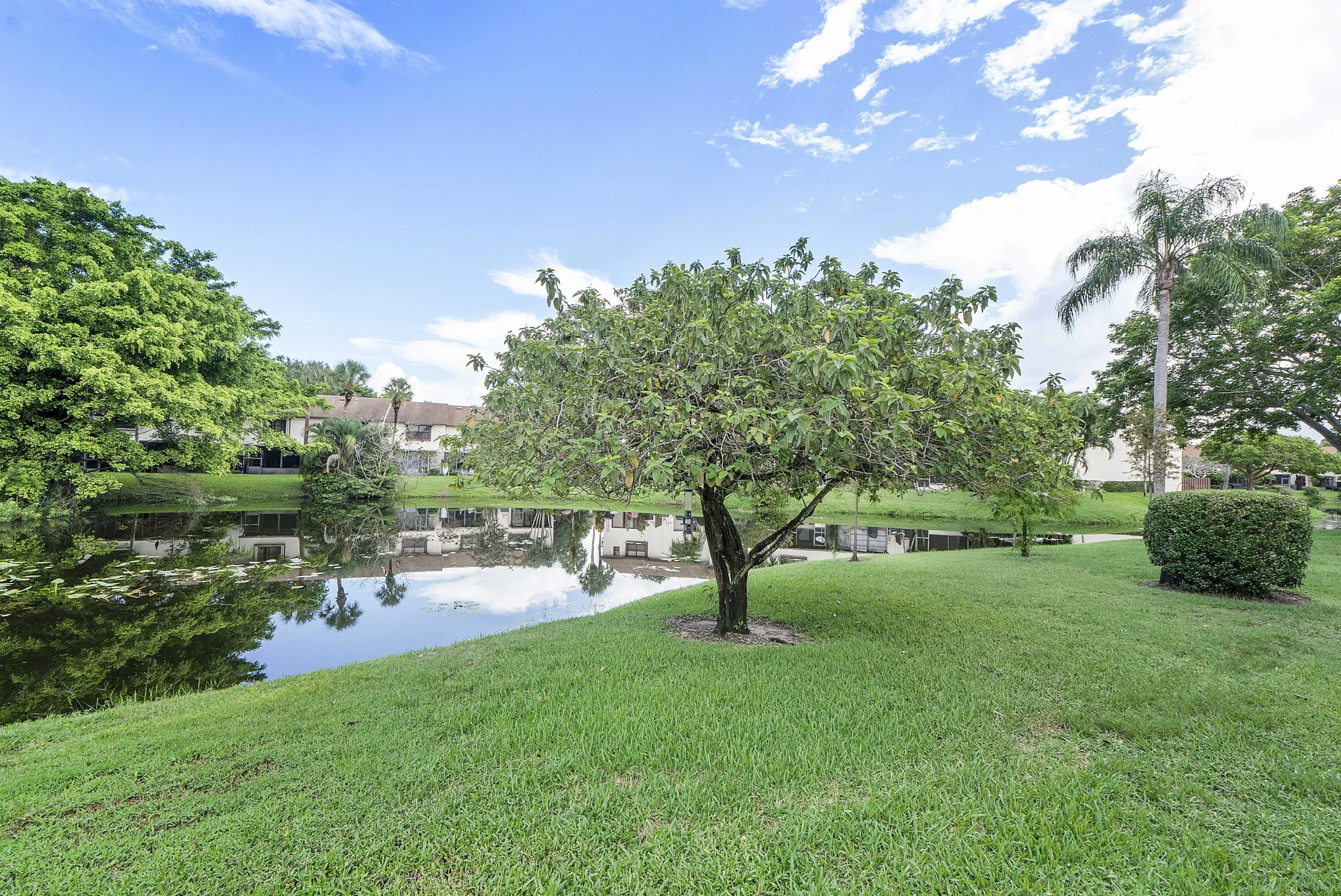 3356 Carambola Cir S_035