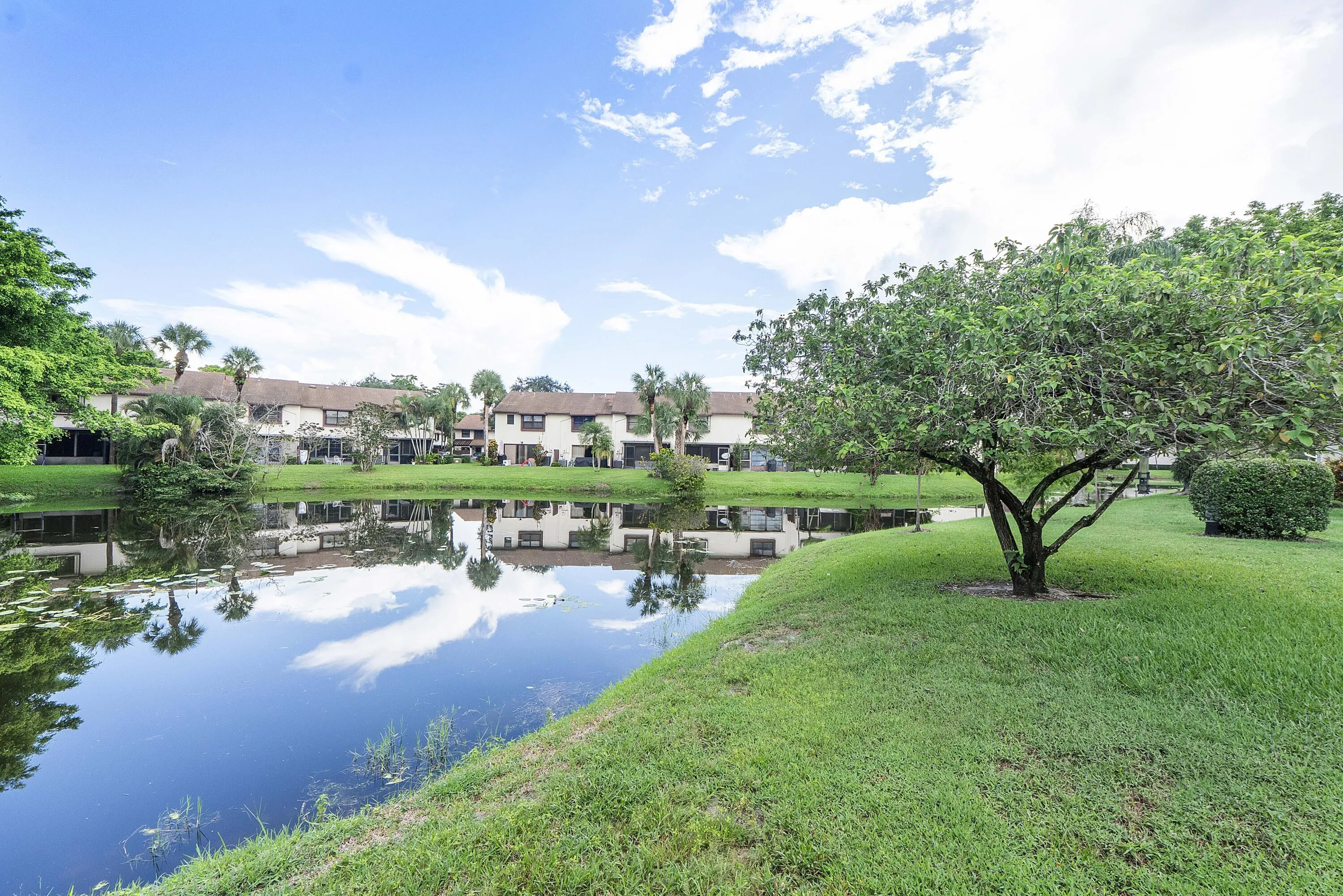 3356 Carambola Cir S_032