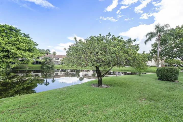 3356 Carambola Cir S_035