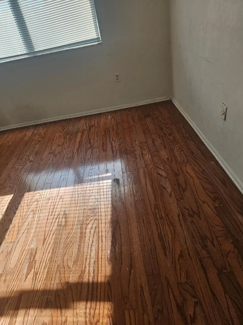 E20