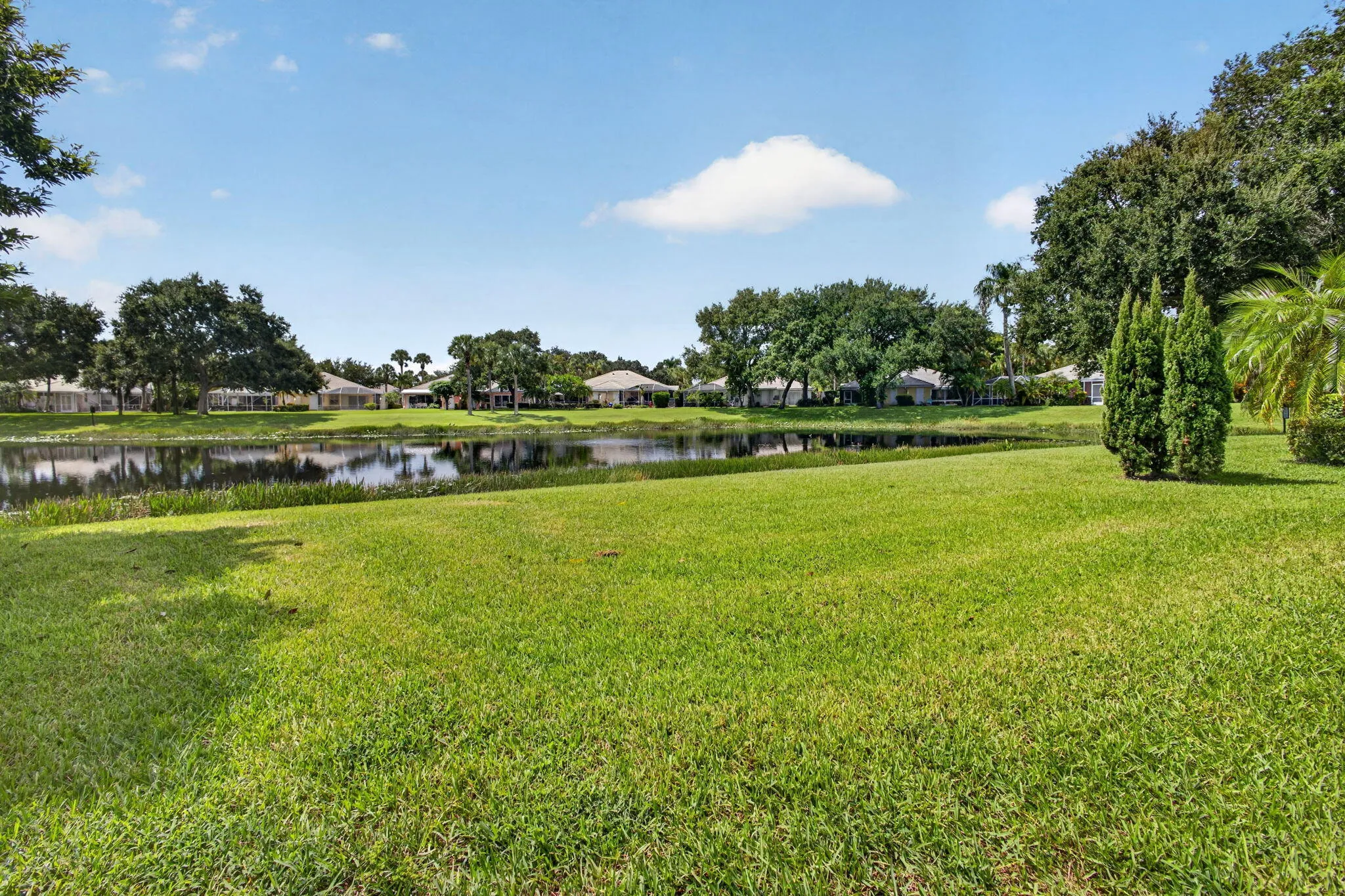 65-web-or-mls-5D1A7607