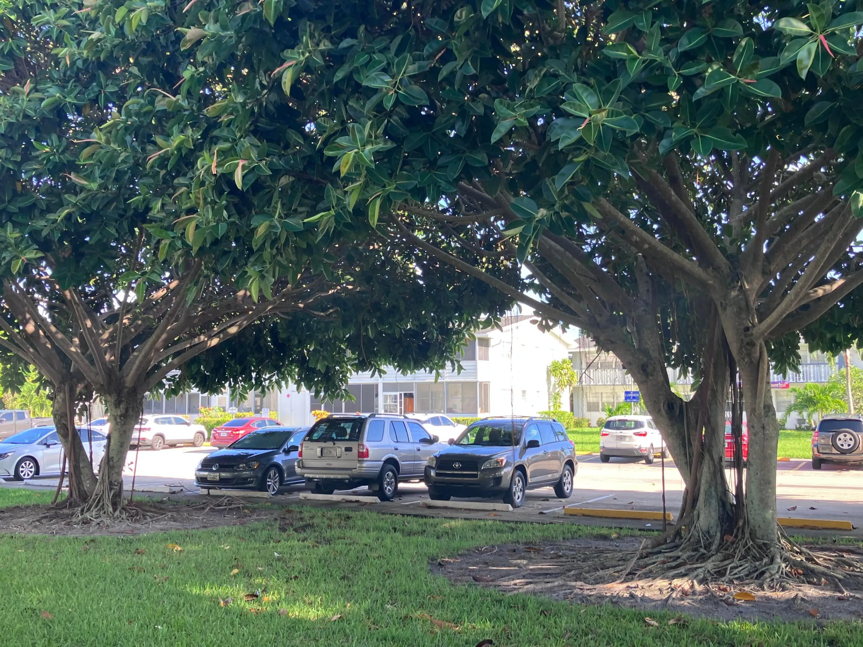 PARKING LOT