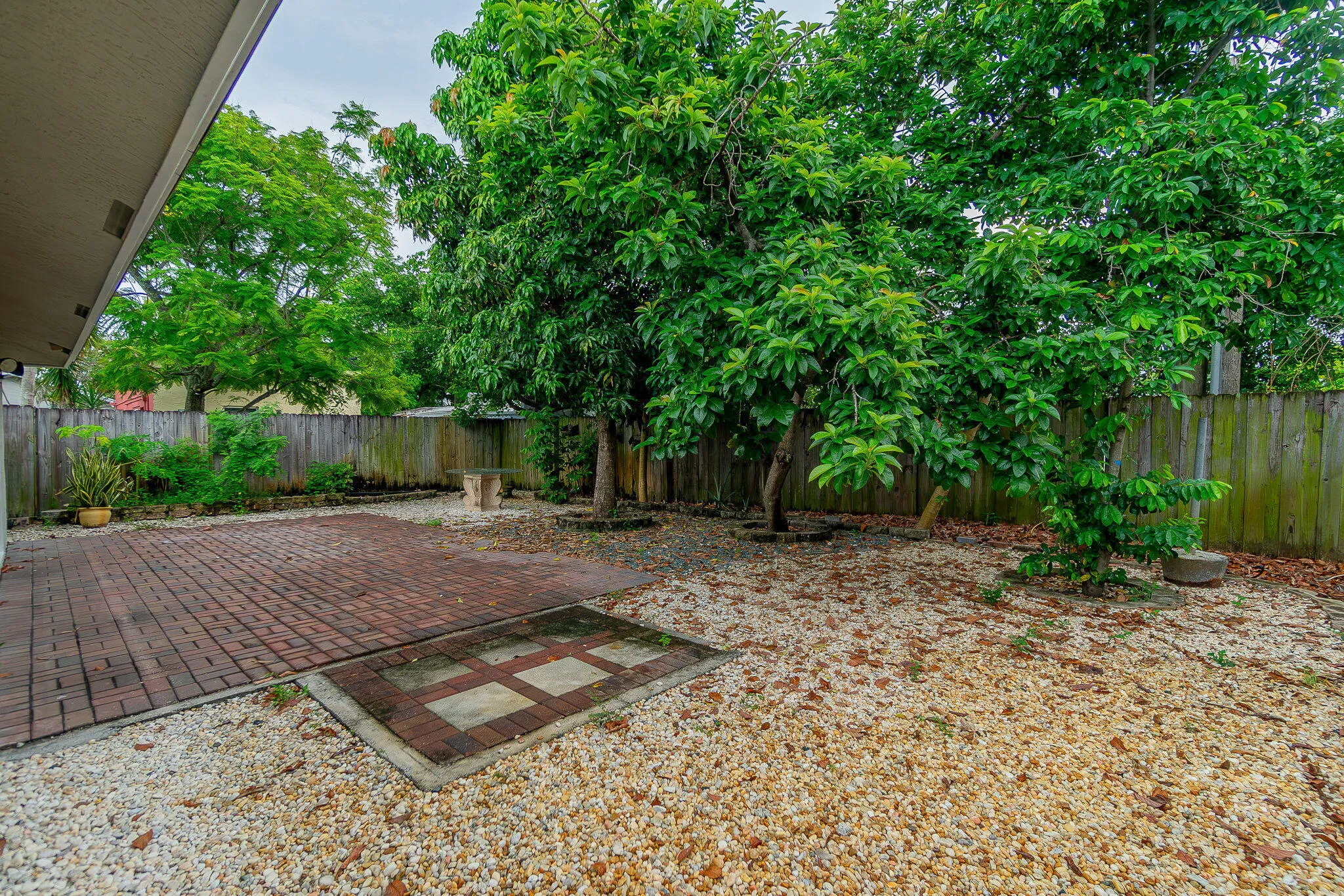 Backyard