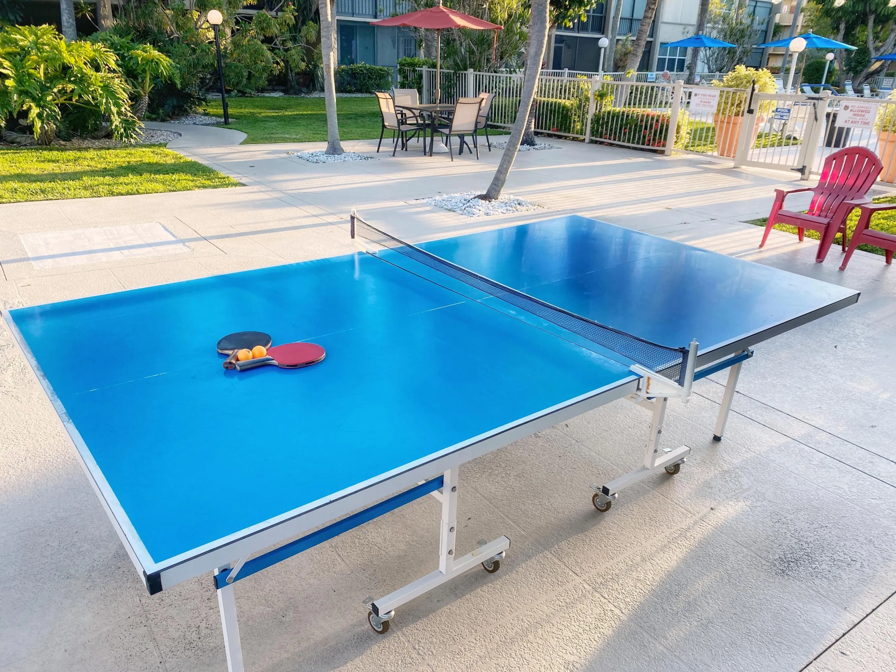 Ping Pong​​‌​​​​‌​​‌‌​‌‌​​​‌‌​‌​‌​‌​​​‌​​ Table