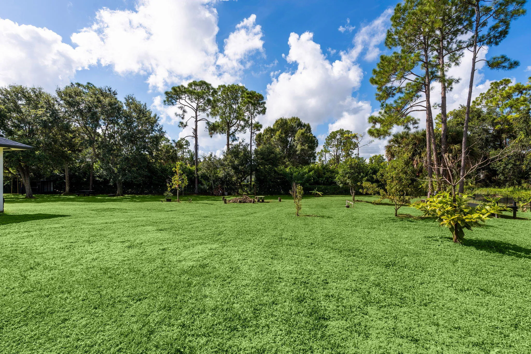 23-web-or-mls-A7406719