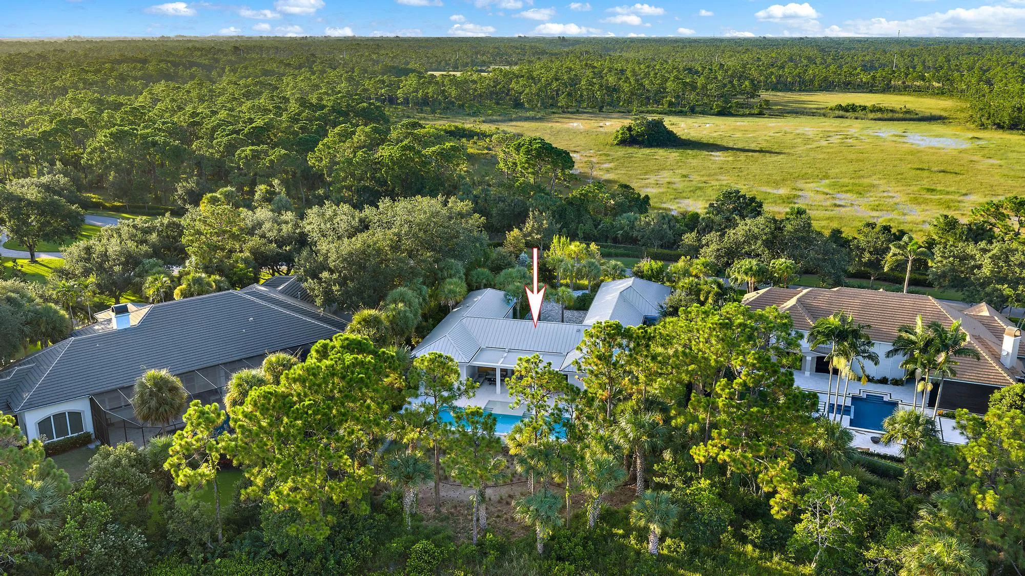 Lush green landscaping with mature trees, expansive wetland scenery, and a visible swimming pool