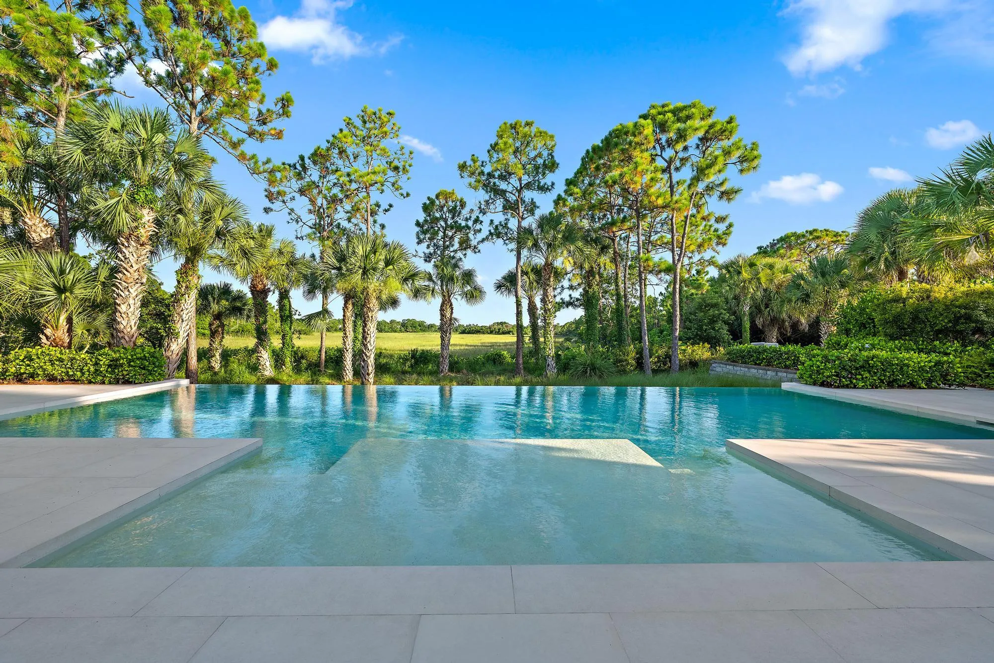 Infinity-edge pool with light-toned coping, surrounded by mature palm trees and lush landscaping