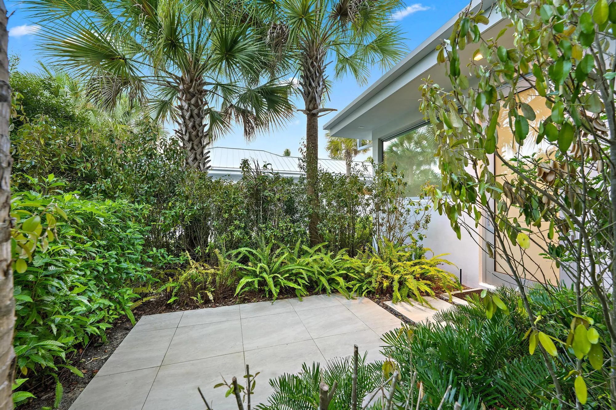 Paved entrance area surrounded by diverse tropical landscaping, featuring palm trees and a contemporary building exterior with large windows