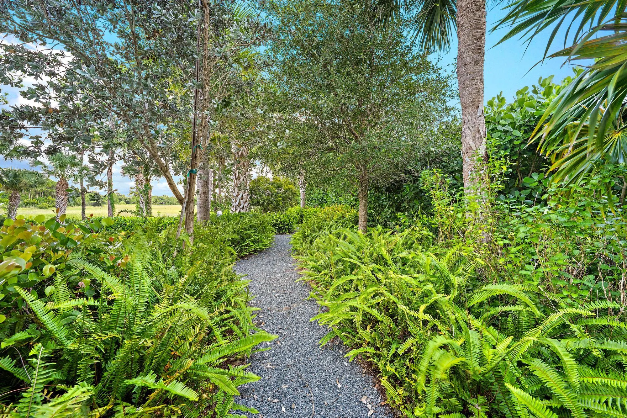 Landscaped pathway featuring a gravel surface, mature trees, and lush green foliage
