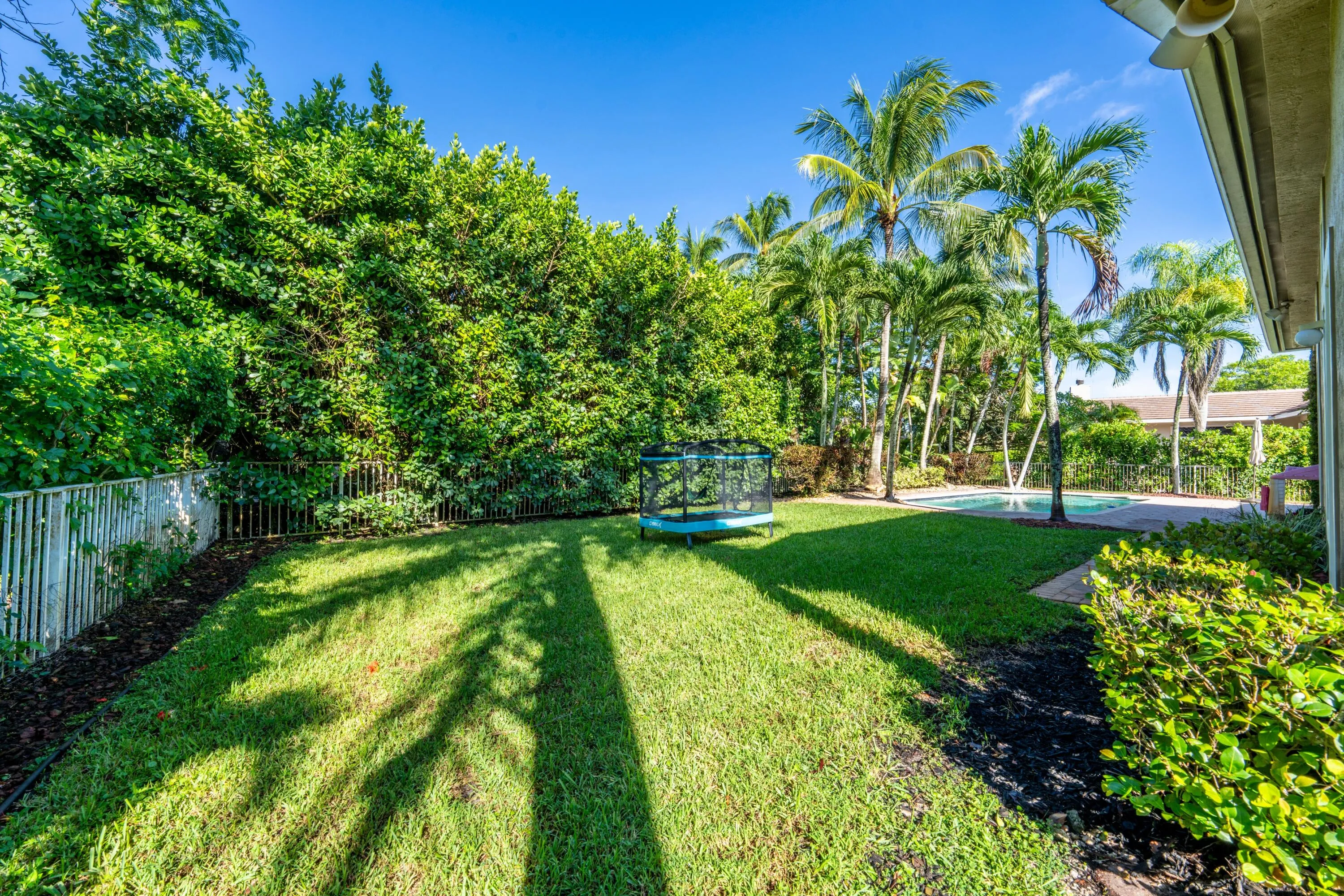 046-024-Back Yard-4000x2667