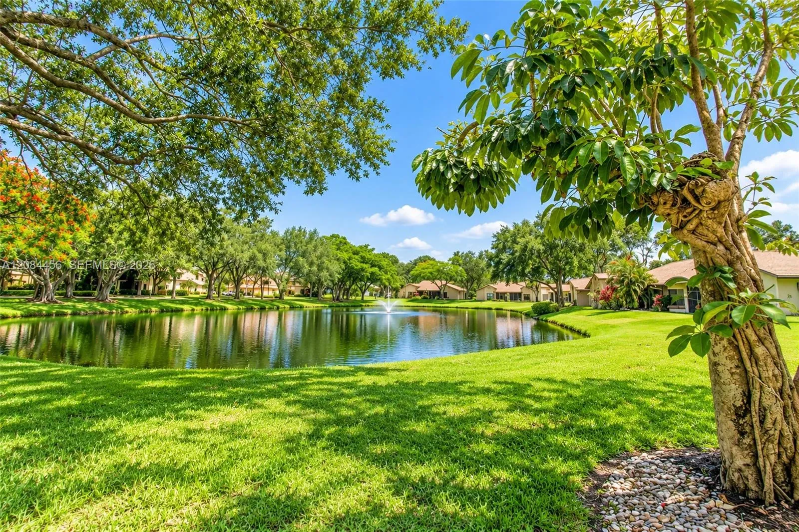 Backyard View