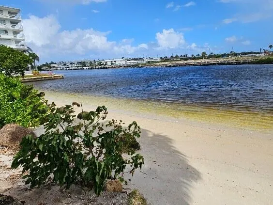 1445 SE 15th Ct #202 Deerfield Beach, FL