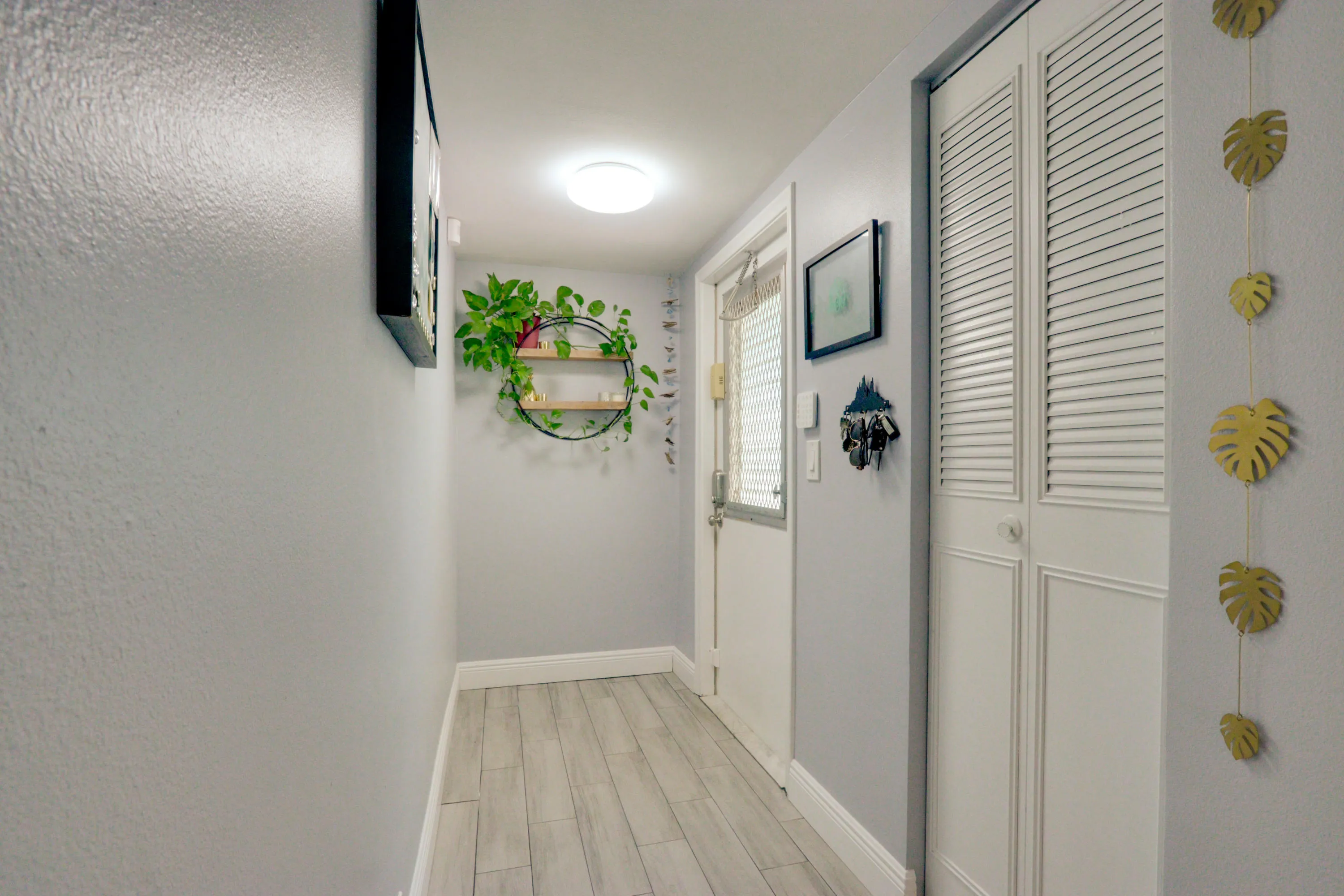 Wood-finish flooring, white louvered bifold doors, and a partial light gray wall finish