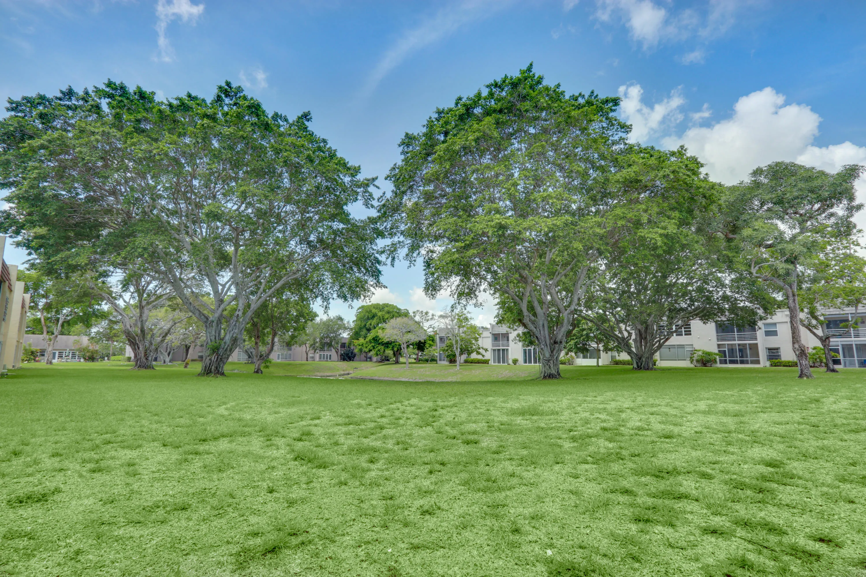 Expansive green space featuring a manicured lawn and mature trees