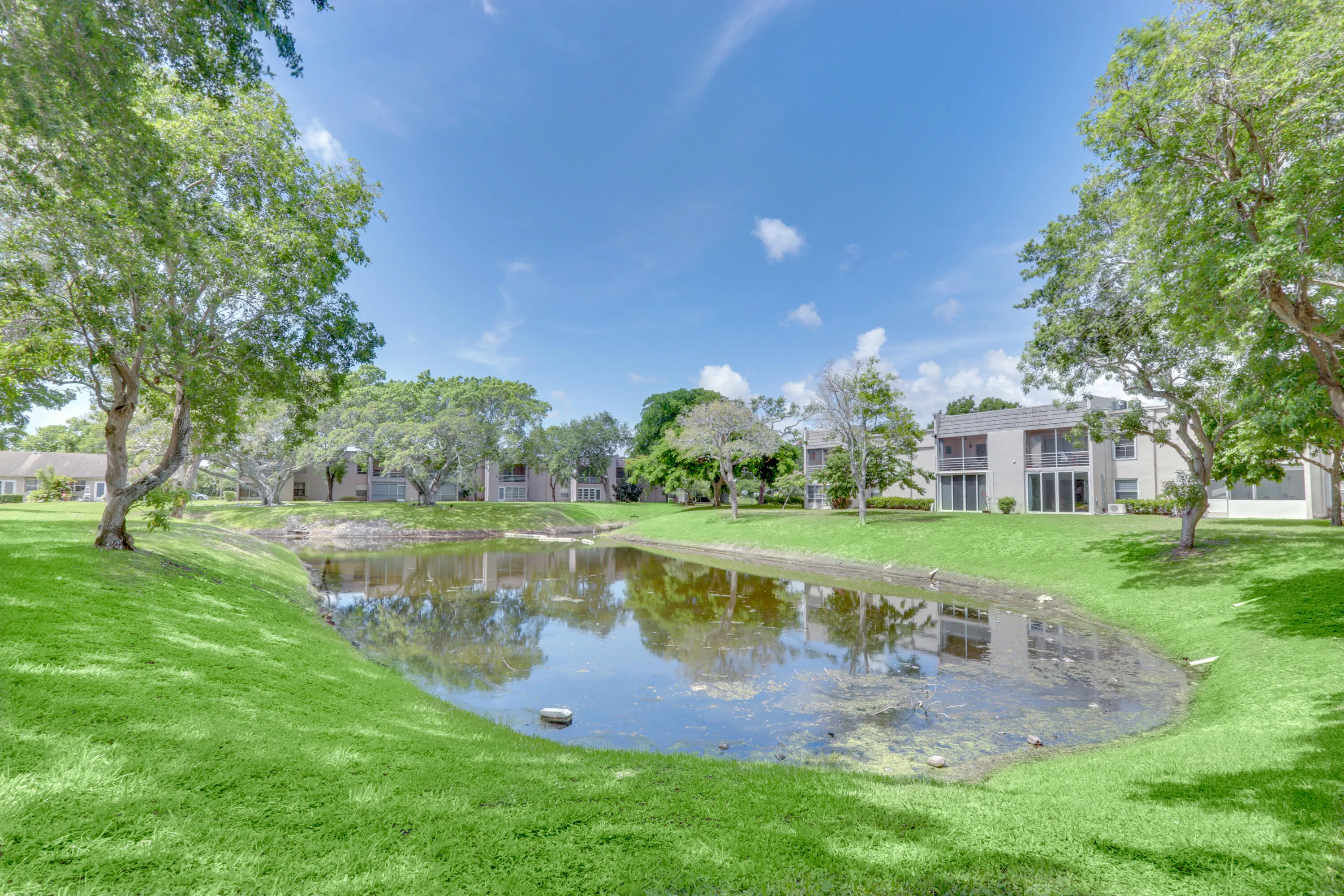Scenic community lake surrounded by lush green space, mature trees, and peaceful water views.