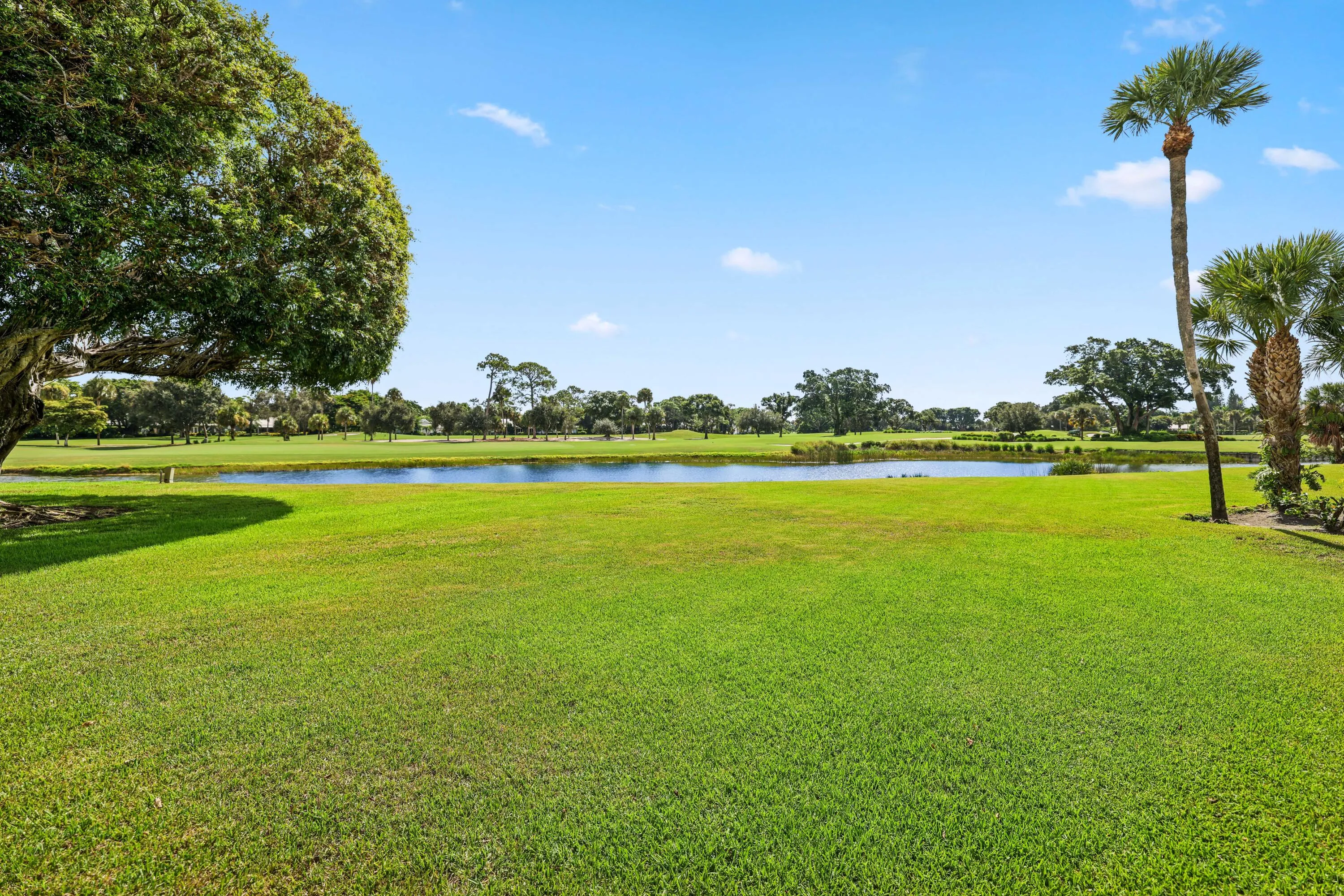 Pond Views