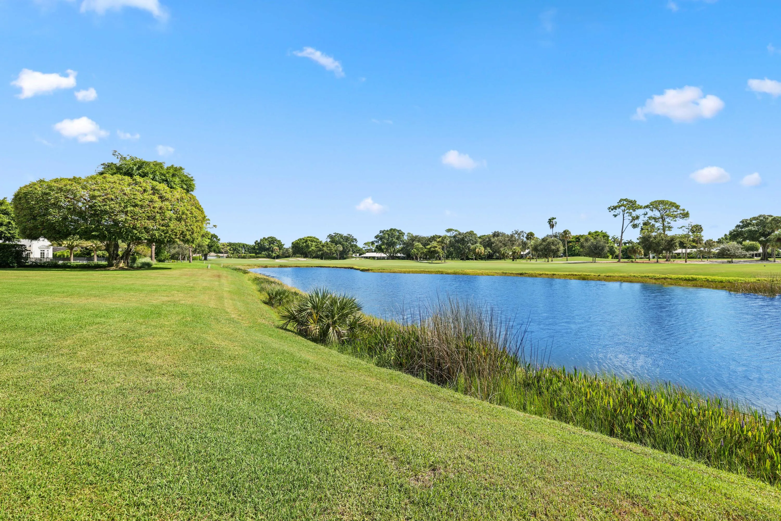 Pond