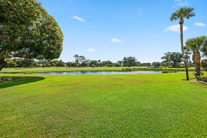 Pond Views