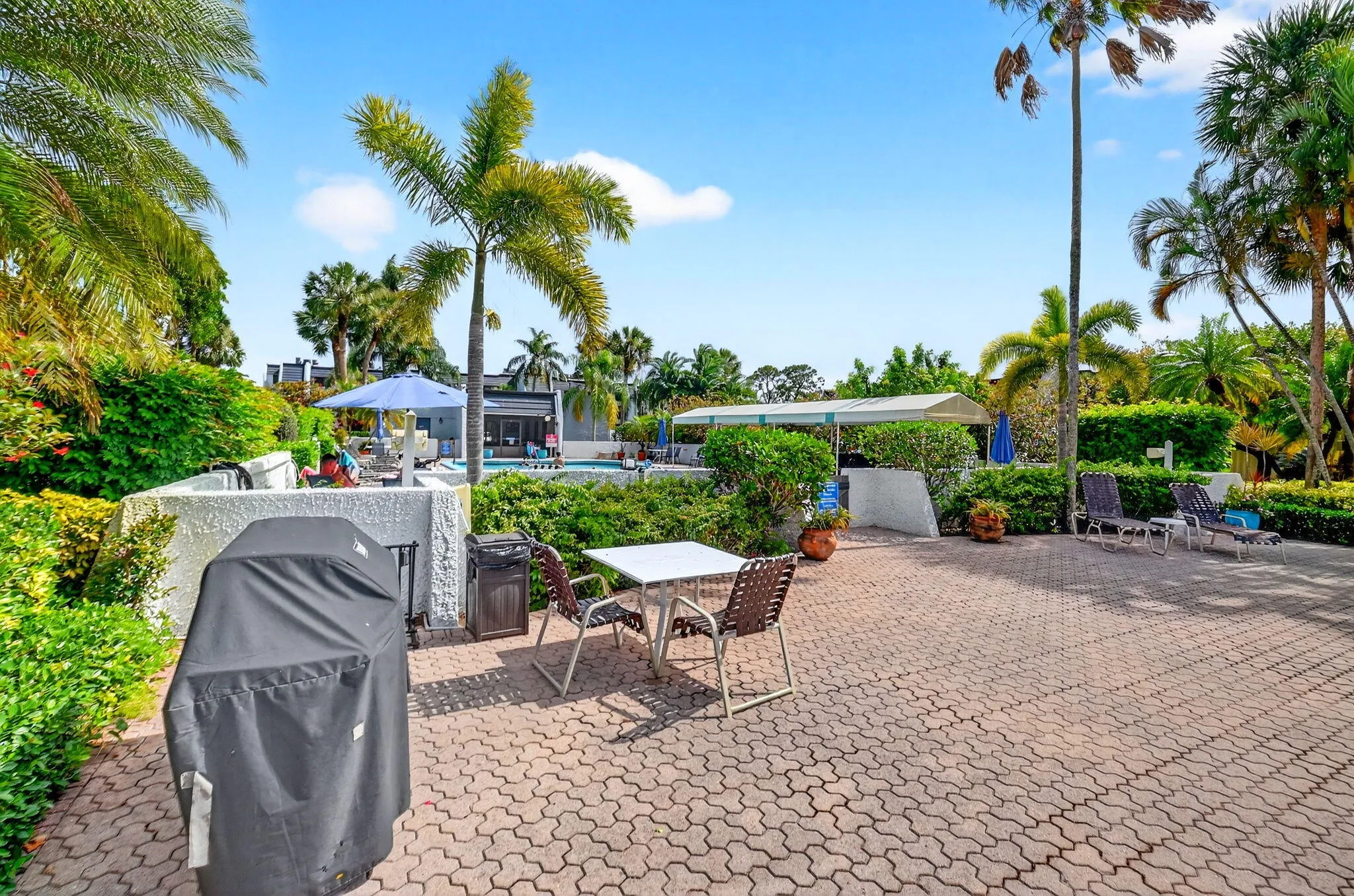 Picnic area behind Court pool