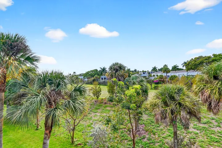 View of the preserve - out back.