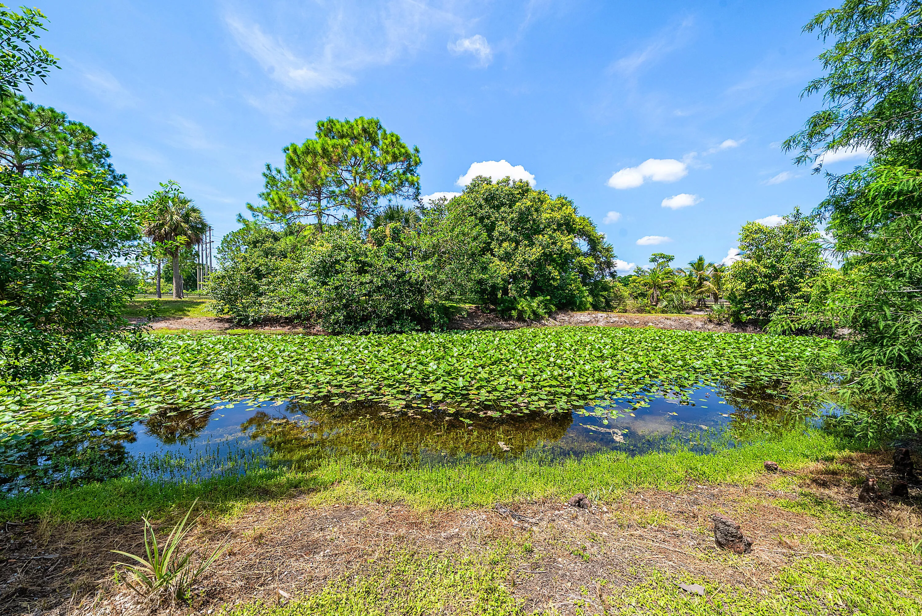 052-11802AcmeRoad-Wellington-FL-33414-FU