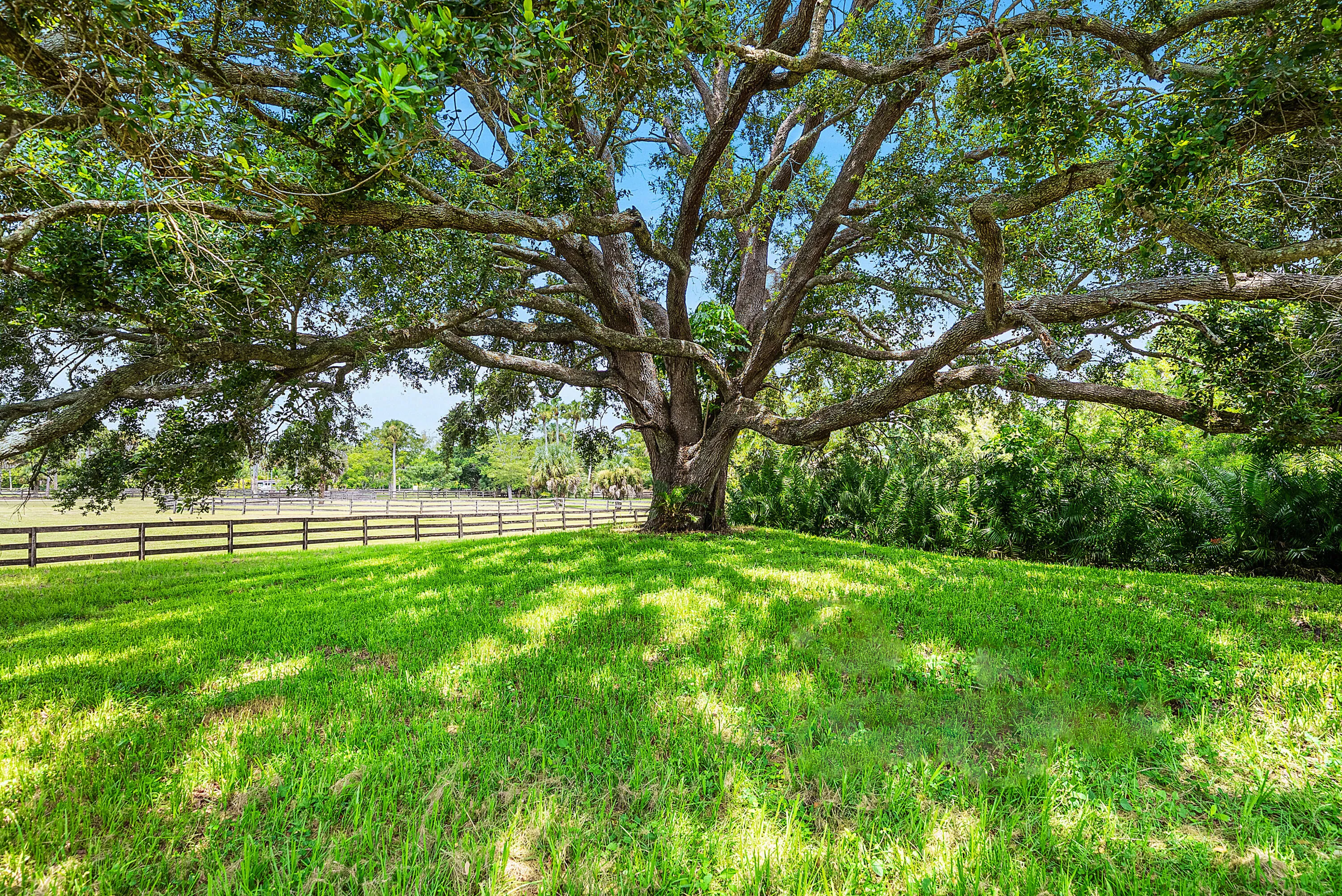054-11802AcmeRoad-Wellington-FL-33414-FU