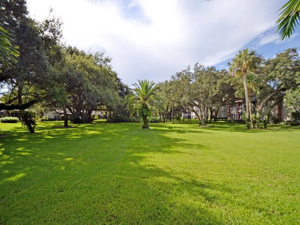 Property photo 51