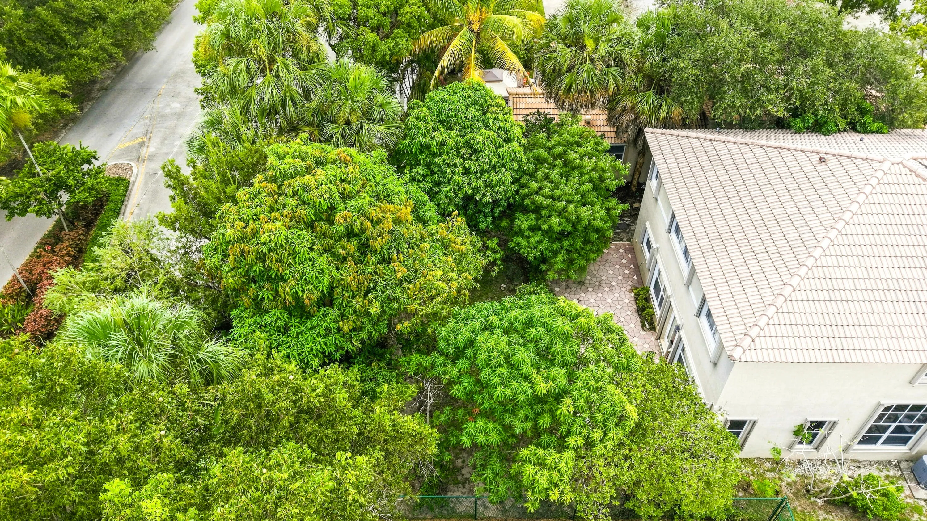 DJI_20260904110946_0081_D-2